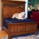 Home Interior, Dog Bed Furniture: Just for Your Dog! : Wide Dog Bed Furniture