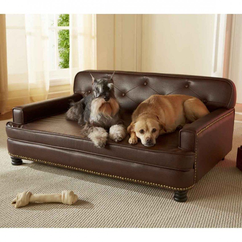 Home Interior, Dog Bed Furniture: Just for Your Dog! : Wide Dog Bed Furniture